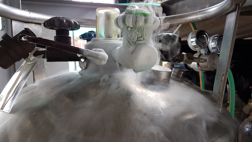 液氮罐液位計(jì)